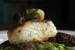 Halibut - wild-caught